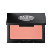 artist face powder blush
