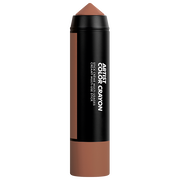 artist color crayons