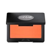 artist face powder blush