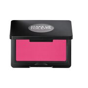 artist face powder blush