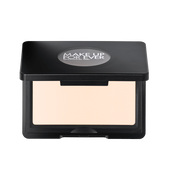 artist face powders   highlighter