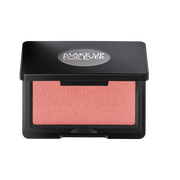 artist face powder blush