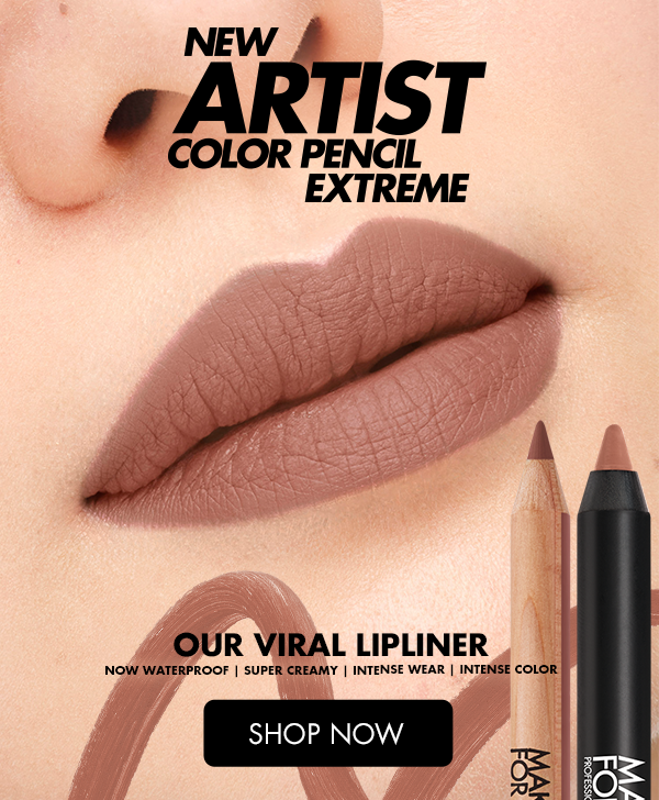 ROUGE ARTIST FOR EVER