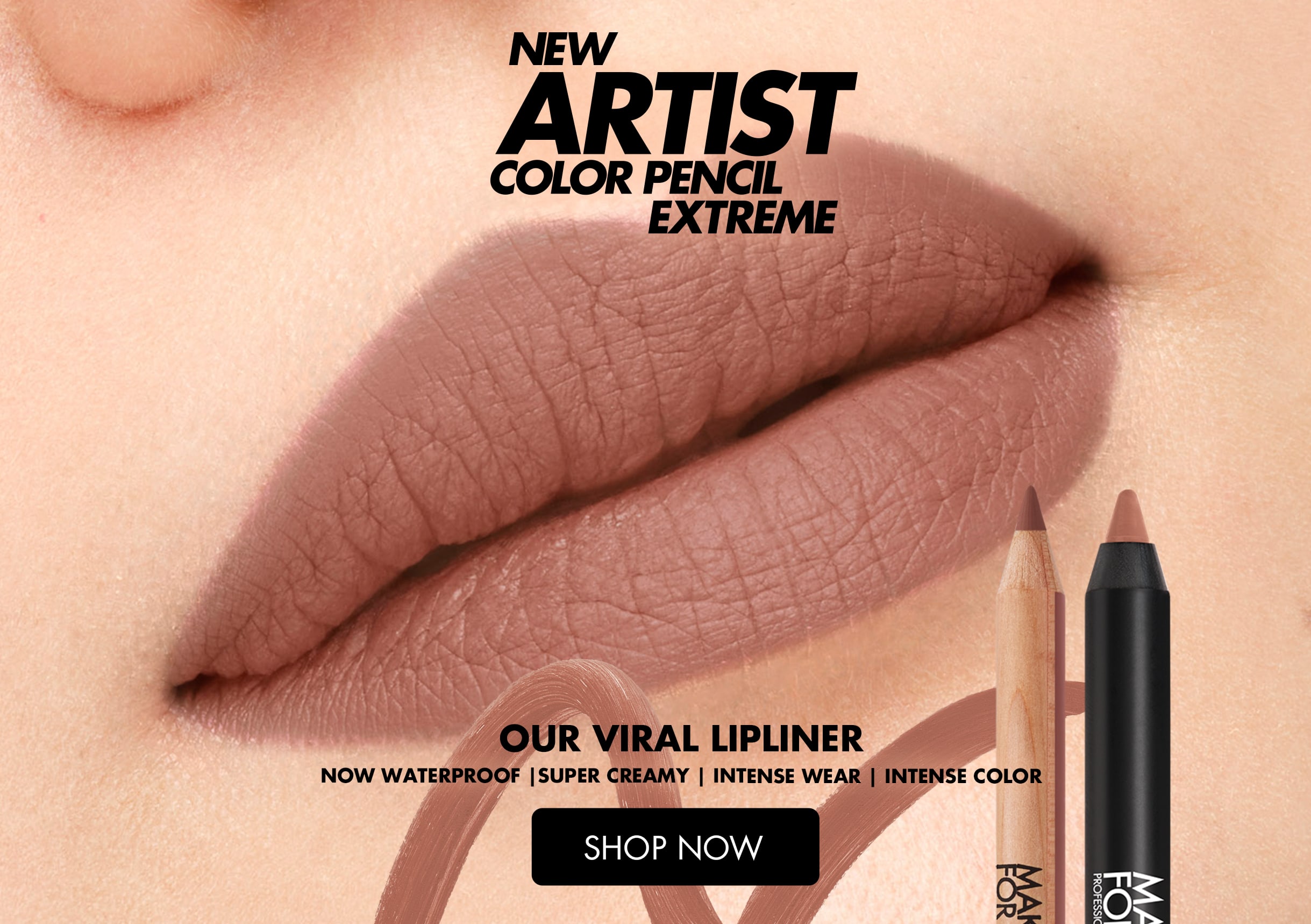 ROUGE ARTIST FOR EVER